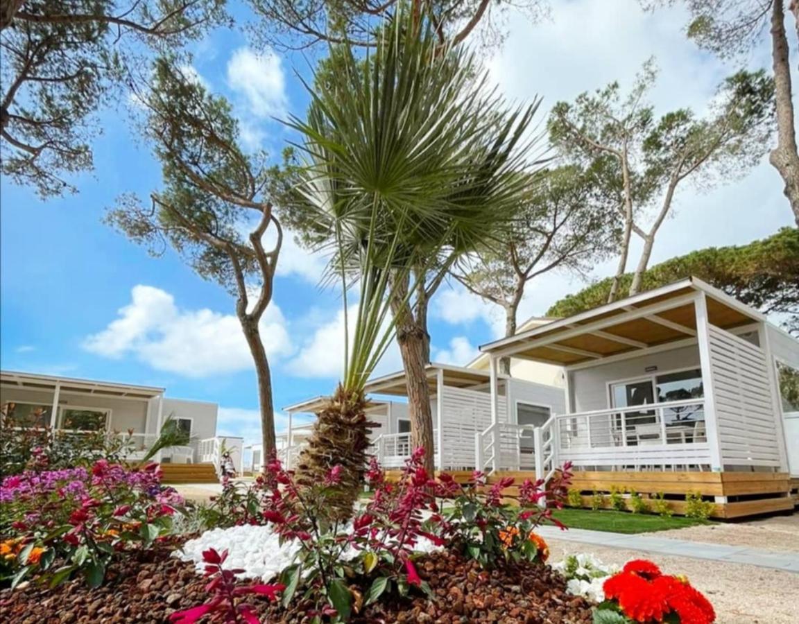 Anxur Village Camping Terracina Exterior photo